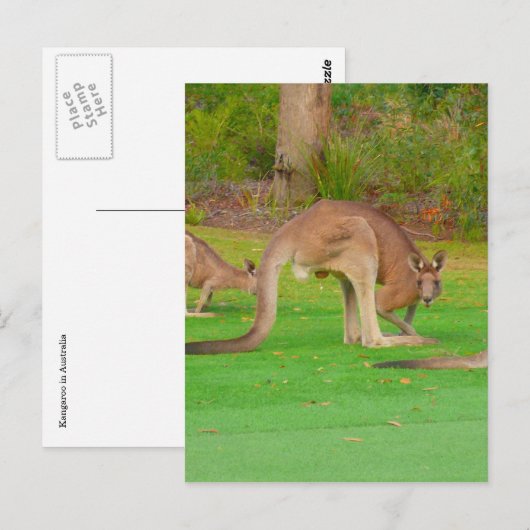 老色な顔 ポストカード (正面/裏面)