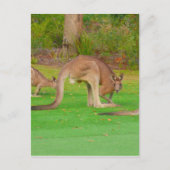 老色な顔 ポストカード (正面)