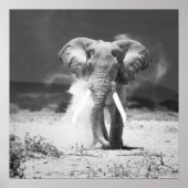 老象 ポスター (正面)