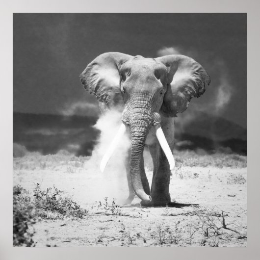 老象 ポスター (正面)