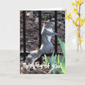 考えお前だ！リスのカード カード (黄色い花)