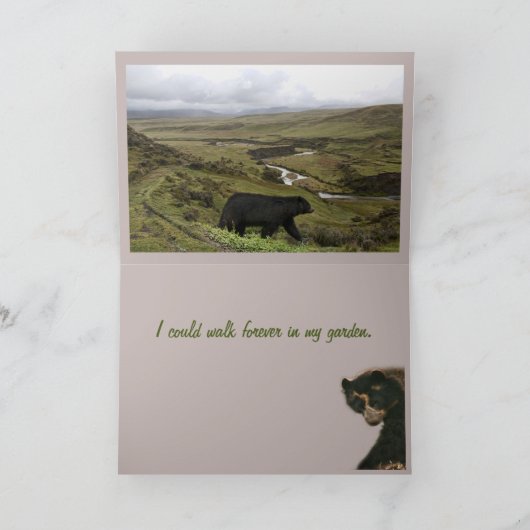 考えお前の カード (内部)