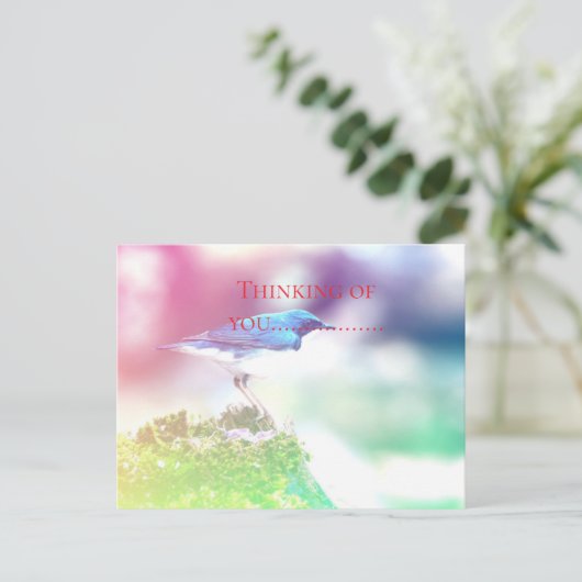 考えお前の........ ポストカード (スタンド正面)