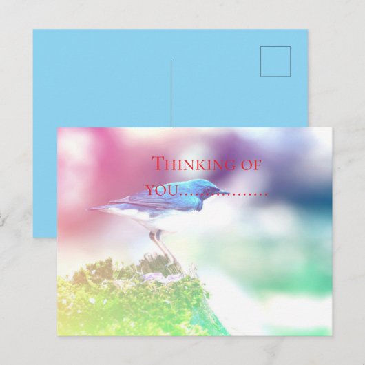 考えお前の........ ポストカード (正面/裏面)