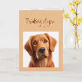 考えさんの悲しい孤独な犬ペット カード (黄色い花)