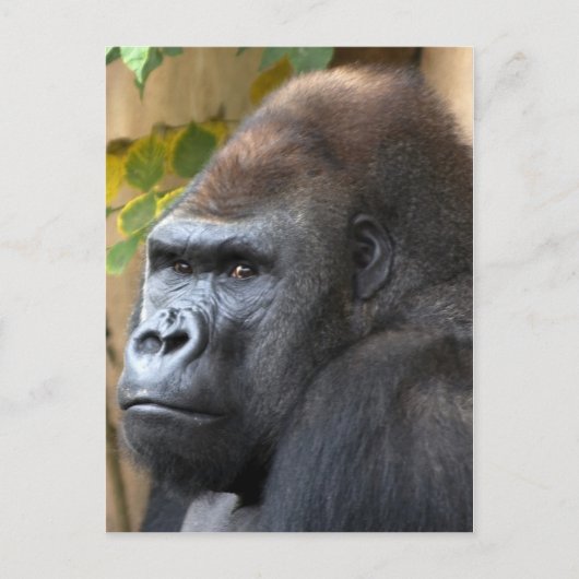 考えてはならない… ポストカード (正面)