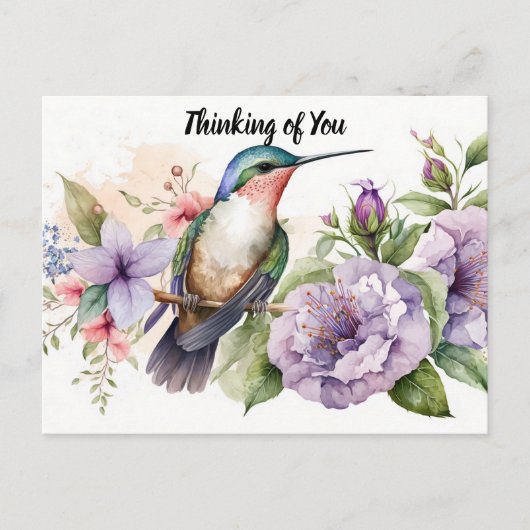 考えのハミングバード ポストカード (正面)