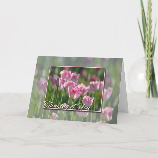 考えのピンクのチューリップ カード (正面)