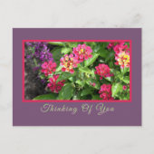 「考えのフローラ」/LANTANA ポストカード (正面)