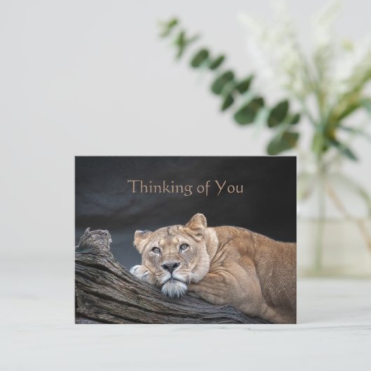 考えの引用文写真はがき ポストカード (スタンド正面)