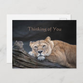 考えの引用文写真はがき ポストカード (正面/裏面)