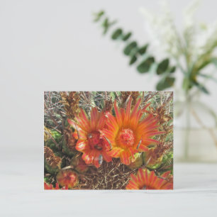 考えの明るいオレンジのサボテンの花の写真 ポストカード