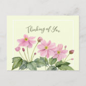 考えの水の色ピンクのア日本のネモン ポストカード (正面)