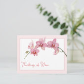 考えの水の色ピンクの蛾の蘭 シーズンポストカード (スタンド正面)