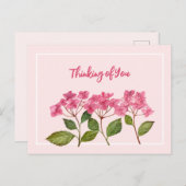 考えの水の色ピンクアジサイのレース シーズンポストカード (正面/裏面)