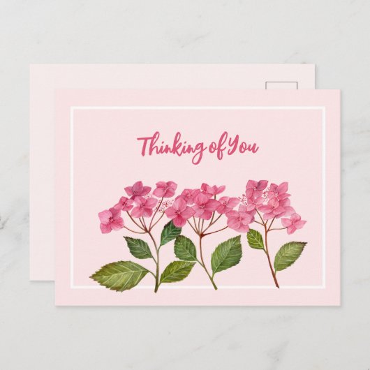 考えの水の色ピンクアジサイのレース シーズンポストカード (正面/裏面)