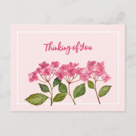 考えの水の色ピンクアジサイのレース シーズンポストカード