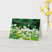 考えの白い花のモダン悔やみや弔慰 カード (黄色い花)