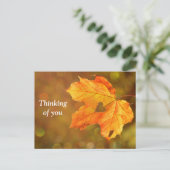 考えの秋はがき ポストカード (スタンド正面)