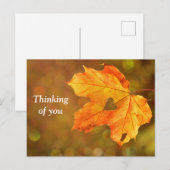考えの秋はがき ポストカード (正面/裏面)