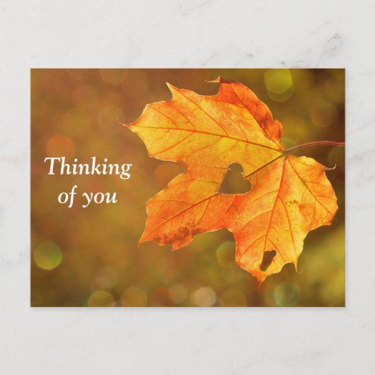 考えの秋はがき ポストカード (正面)