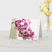 考えの紫の蘭の写真 カード (黄色い花)