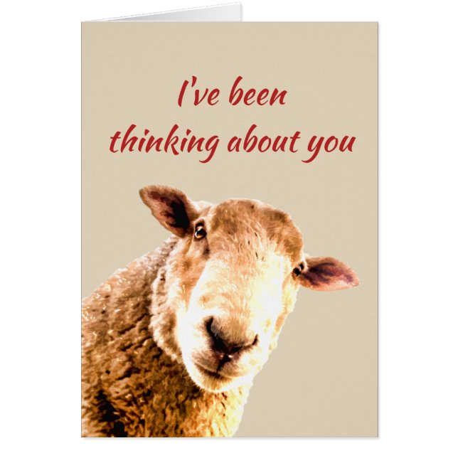 考えの羊のおもしろい動物のユーモア (正面)