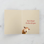 考えの羊のおもしろい動物のユーモア カード (内部)