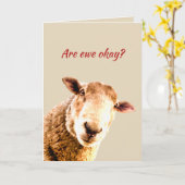 考えの羊のおもしろい動物のユーモア カード (黄色い花)