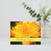 考えの黄色のオレンジの日ゆりの花 ポストカード (スタンド正面)