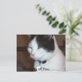 考えの…...... ポストカード (スタンド正面)