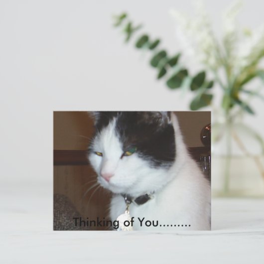 考えの…...... ポストカード (スタンド正面)