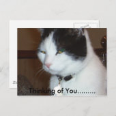 考えの…...... ポストカード (正面/裏面)