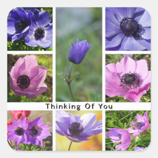 考えのAnemone Photo Collage スクエアシール