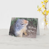 考えのGroundhogカード カード (黄色い花)