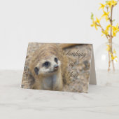 考えのMeerkat カード (黄色い花)