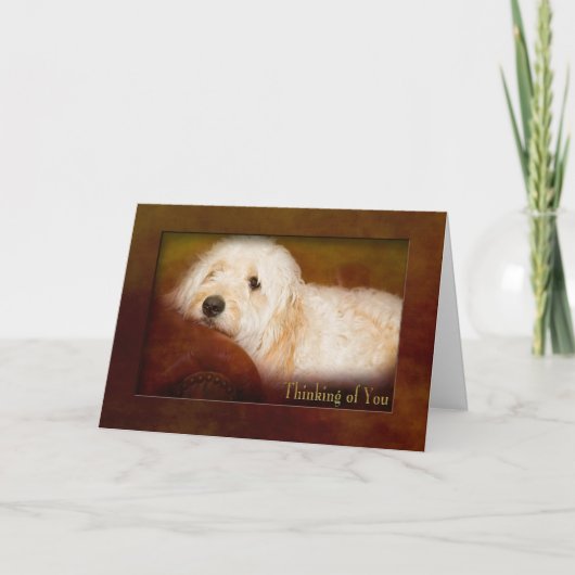 考えのOF YOU - GOLDEN DOODLE (PET) ON SOFA カード (正面)
