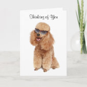 考えのPoodle Greeting Card - Verse カード (正面)