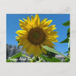 考えのSunflower写真 ポストカード