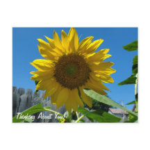 考えのSunflower写真