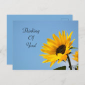 考えのSunflower Card ポストカード (正面/裏面)