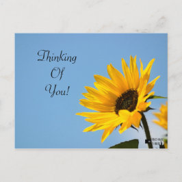 考えのSunflower Card ポストカード