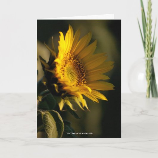 考えのSunflower Light PhotoTemplate カード (正面)