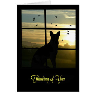 考えのWindows Greeting Cardでかわいい犬