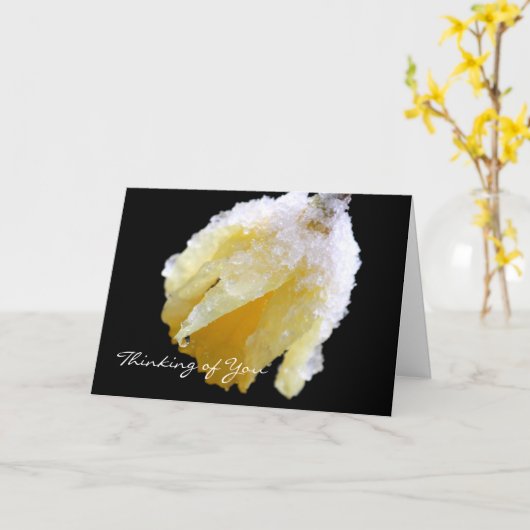考えのWinter Daffodil Greeting Card カード (黄色い花)