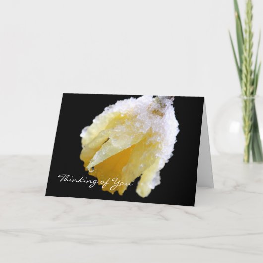 考えのWinter Daffodil Greeting Card カード (正面)