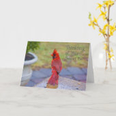 考えのYou - Secret Pal - Red(鳥)ショウジョウコウカンチョウ カード (黄色い花)