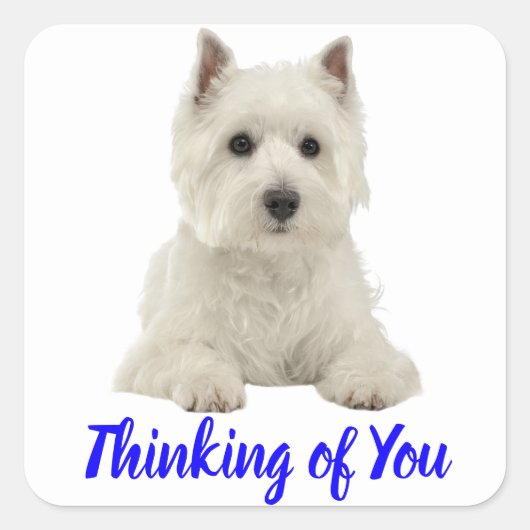 考えのYou West Highland Terrier Puppy Dog スクエアシール (正面)