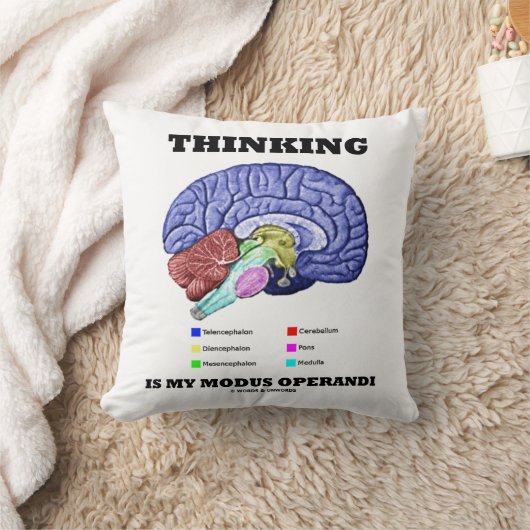 考えは脳解剖学 クッション (ブランケット)