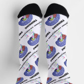 考えは脳解剖学 ソックス (上部)